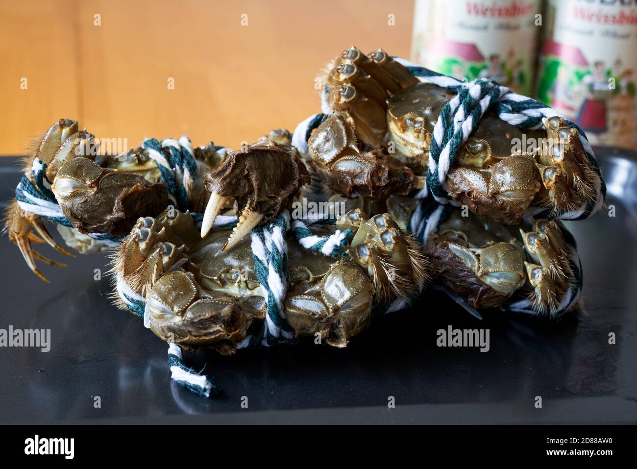 Close-up of plump Yangcheng Lake hairy crabs Stock Photo