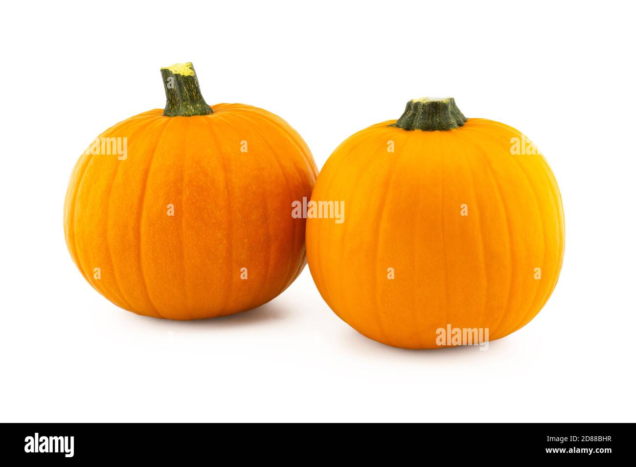 Pumpkins orange green white on hi-res stock photography and images - Alamy