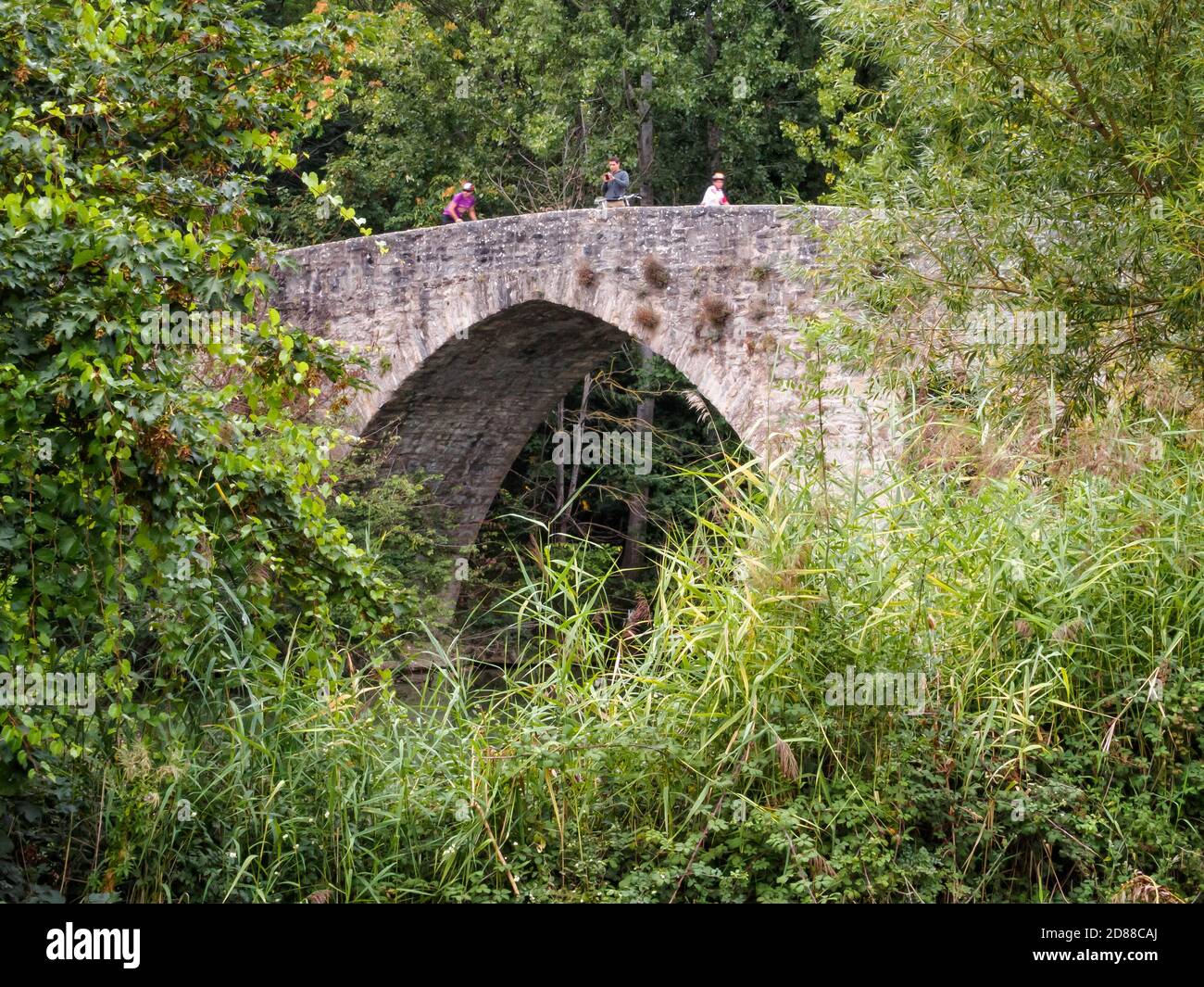 The medieval bridge (puente) Magdalena over the Arga River (Rio) - Pamplona, Navarre, Spain Stock Photo