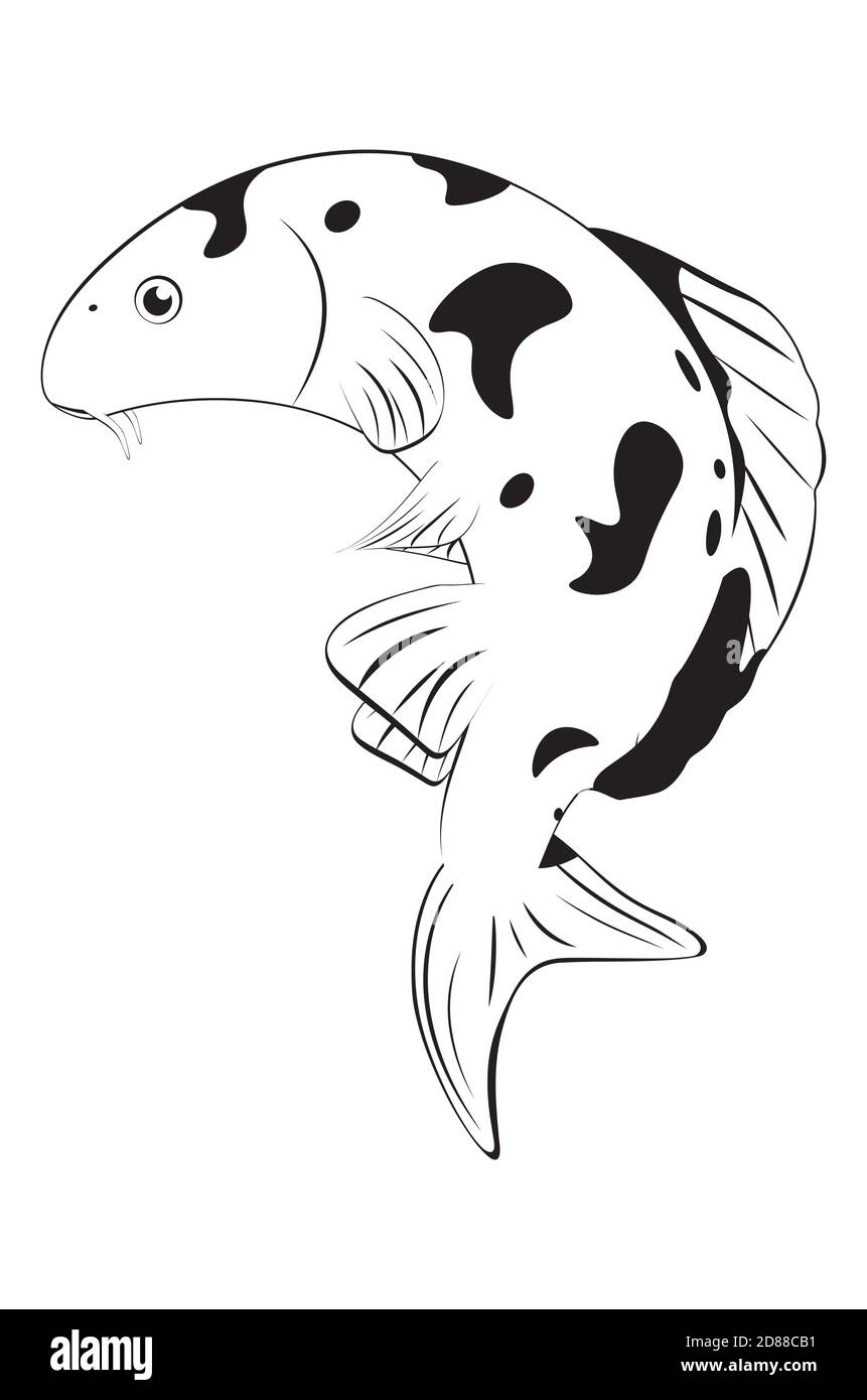 Decorative japanese fish koi carp in black and white illustration Stock