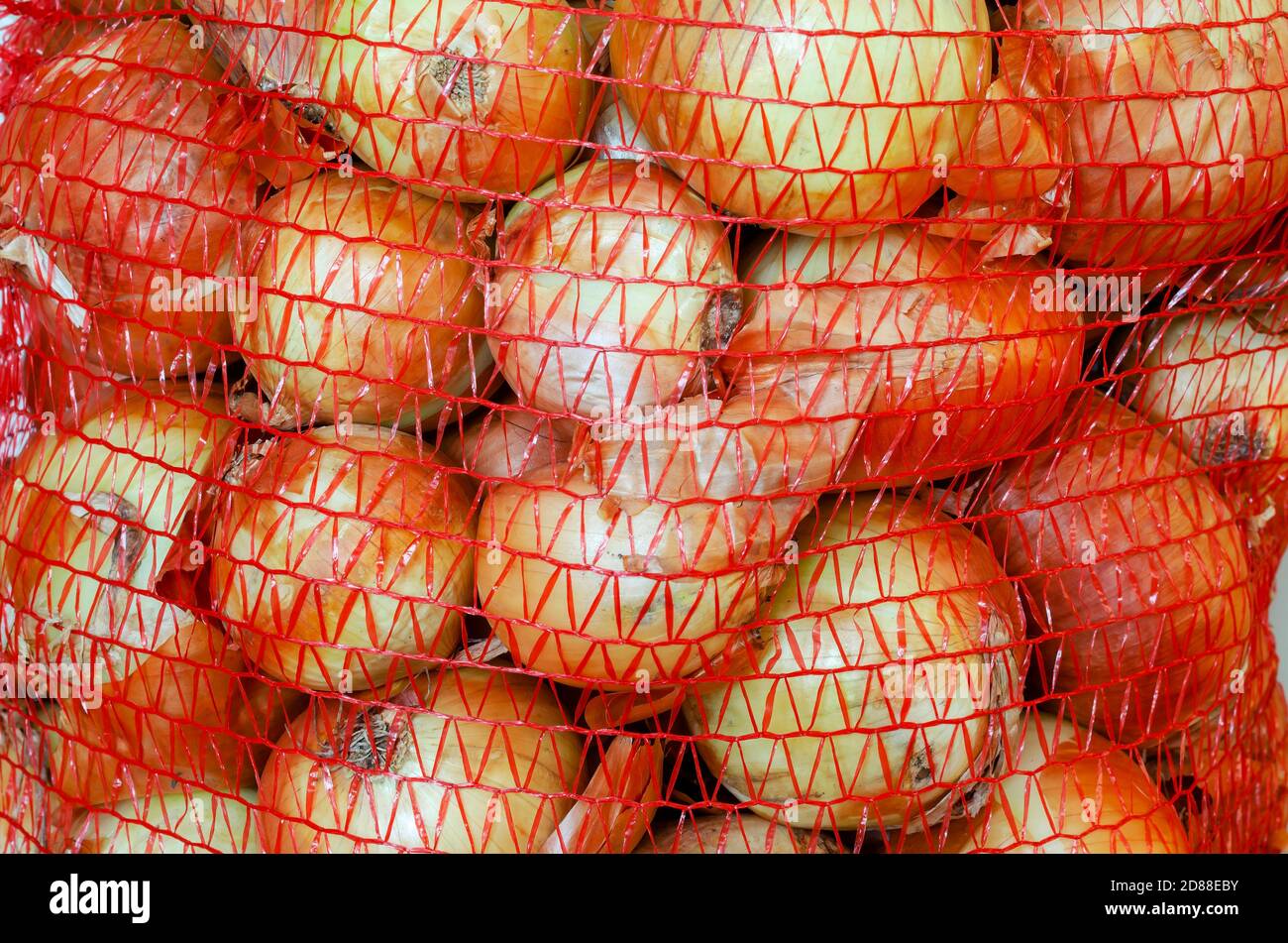Raw onions in a mesh bag close-up. Vegetable harvest packed in mesh bags.  Agronomy. Without people Stock Photo - Alamy