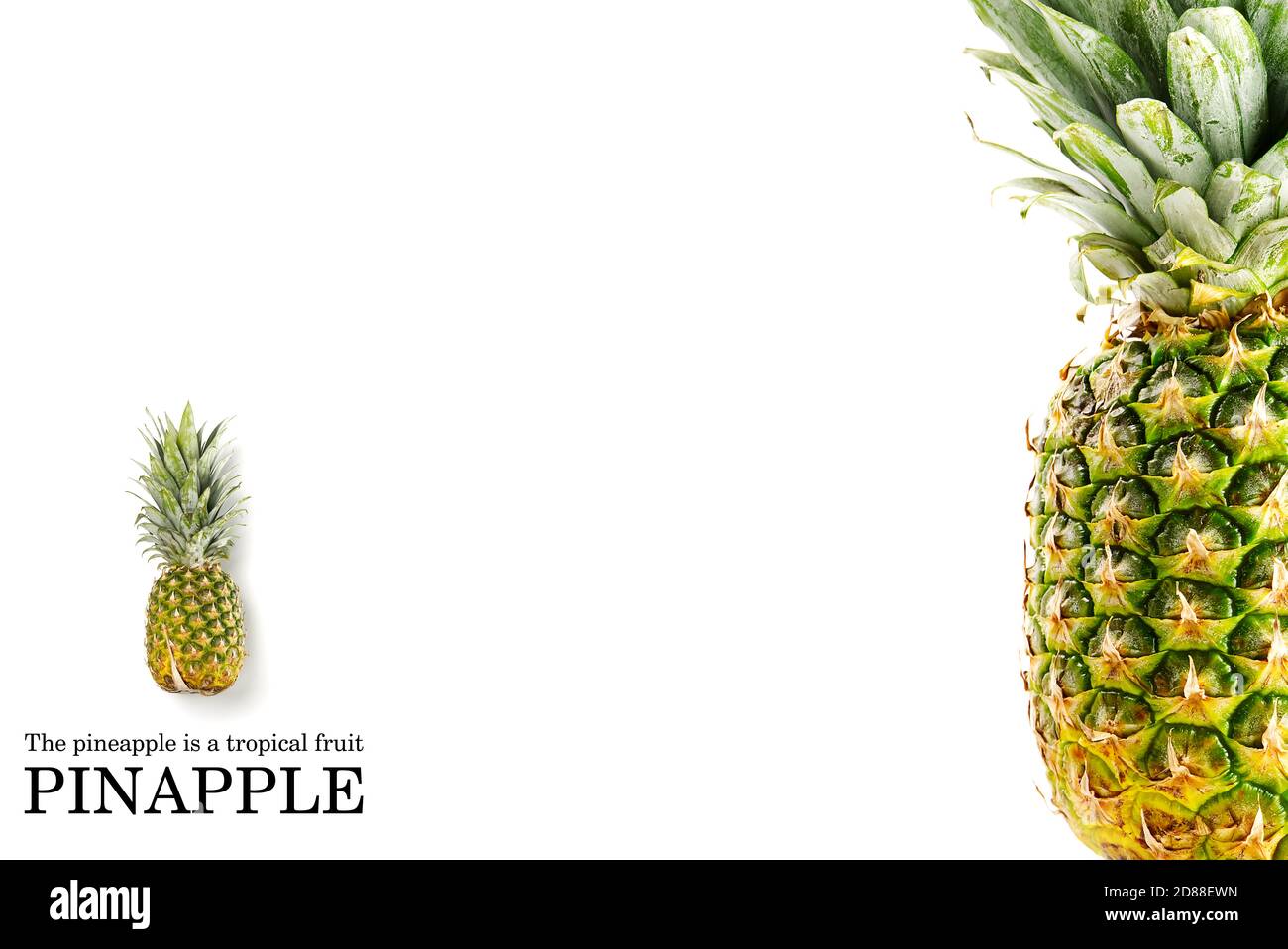 Creative Pineapple layout with sample text. Pineapple on white background. Tropical fruits concept. Stock Photo