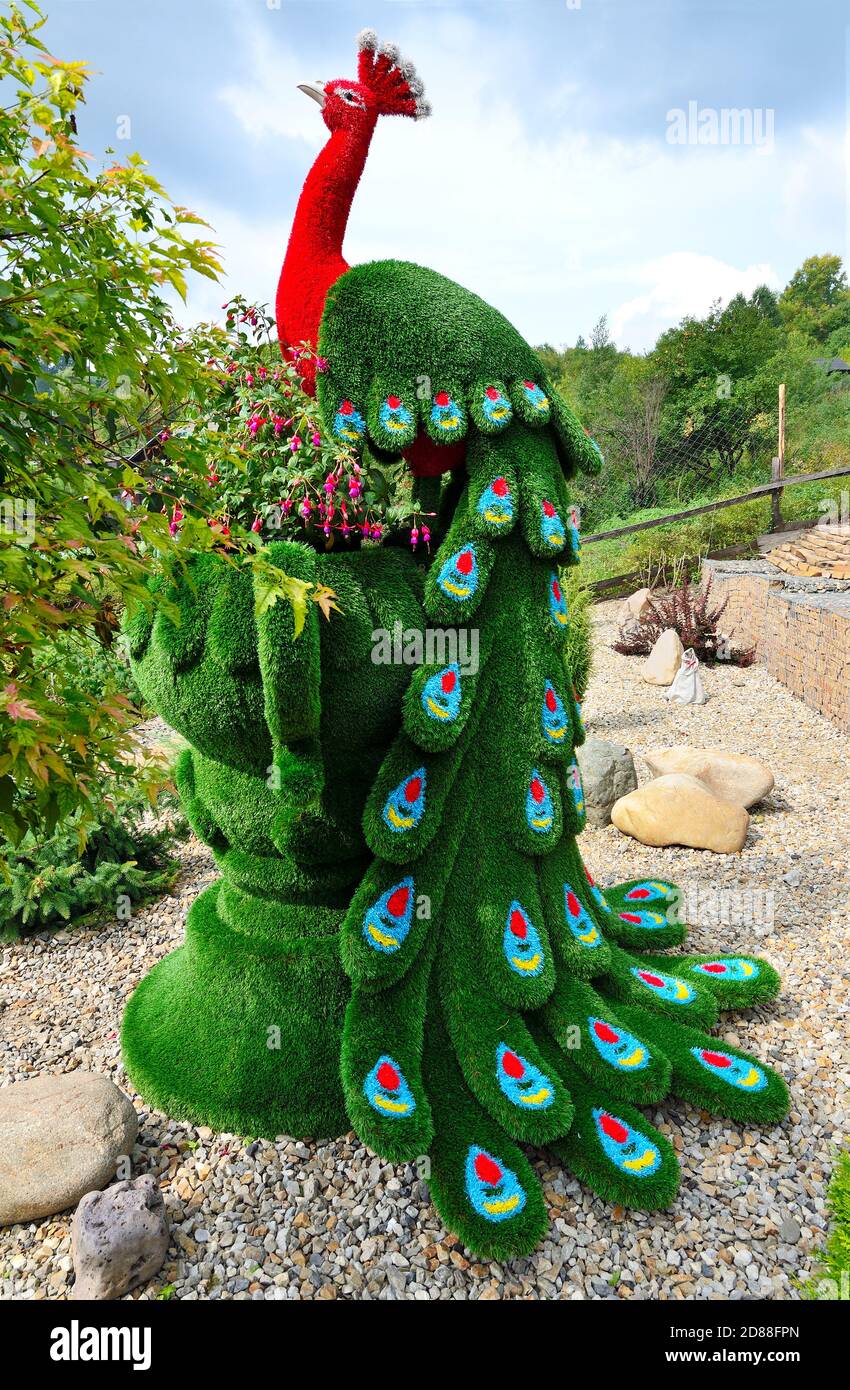 Novokuznetsk, Russia - August 15, 2020: Green sculpture of peacock created from artificial grass - gardens topiary. Stony garden decoration landscape Stock Photo