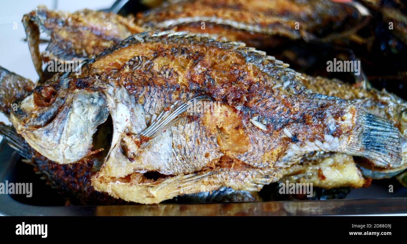 Fried Mozambique tilapia fish. Ready to eat Stock Photo Alamy