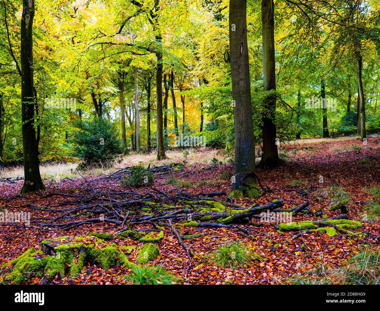 Checkendon High Resolution Stock Photography and Images - Alamy