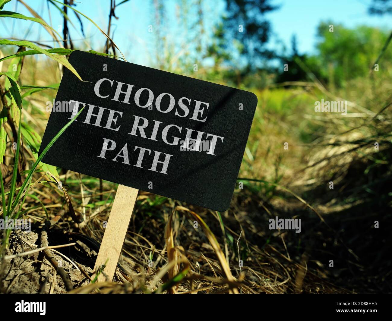 Choose the right path sing on the way. Stock Photo