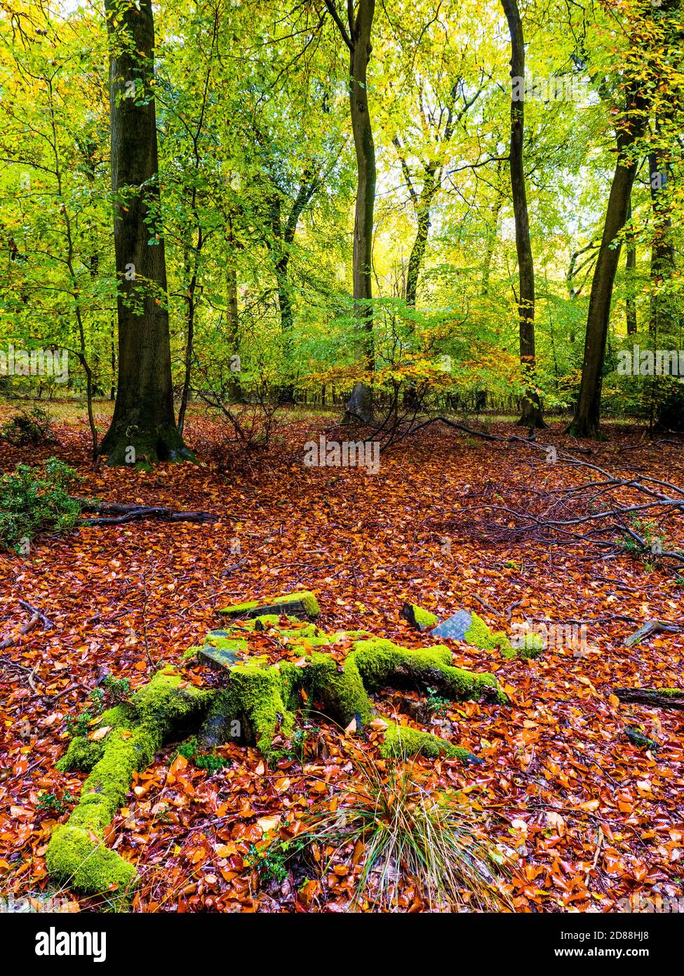 Checkendon High Resolution Stock Photography and Images - Alamy