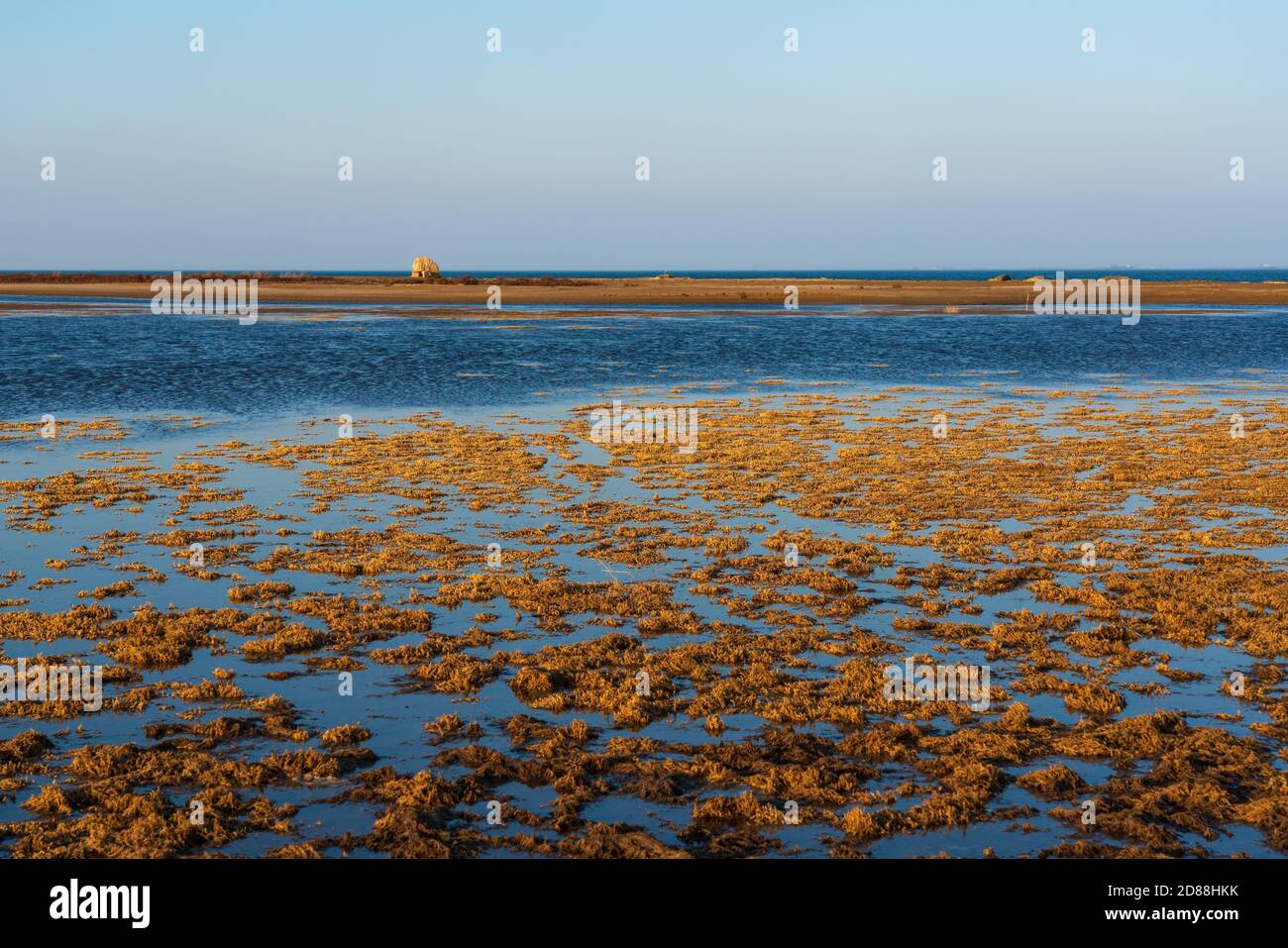 Low tide on the seaside Stock Photo Alamy