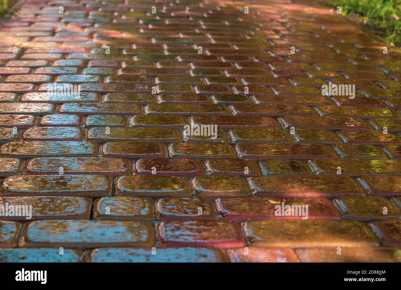 pink paving slab after rain for background Stock Photo