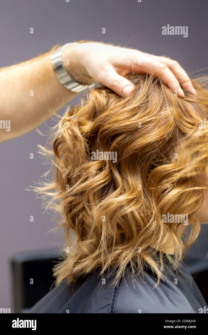 Side view of male hairdresser checks curly hairstyle of young caucasian