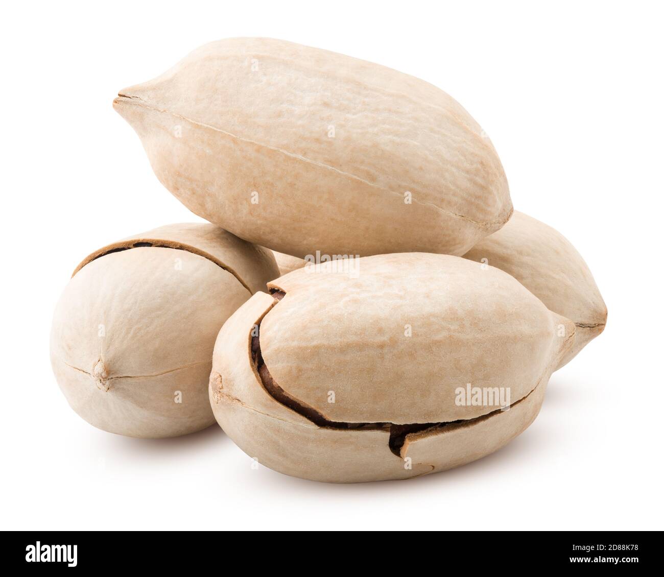 Pacane pecan, nut, isolated on white background, clipping path, full depth of ...