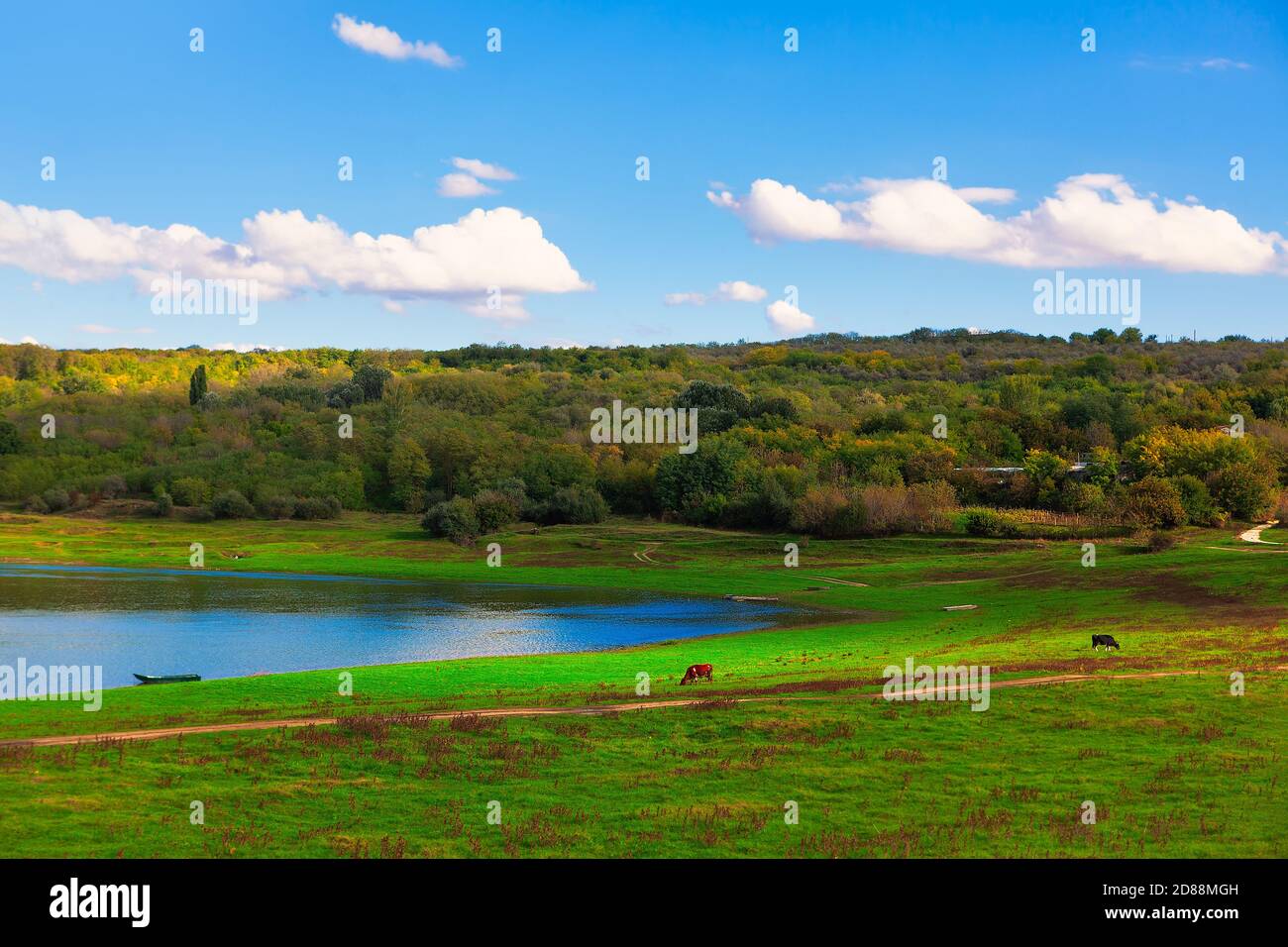 Pretty Pasture Beautiful nature of the country . Green pasture on the riverside Stock ...