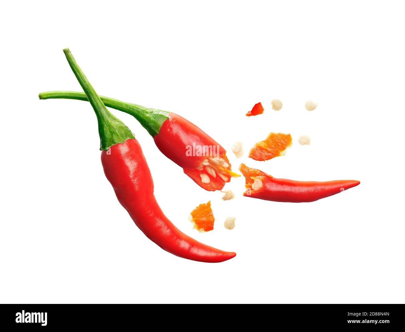 Crushed Red Pepper Plant