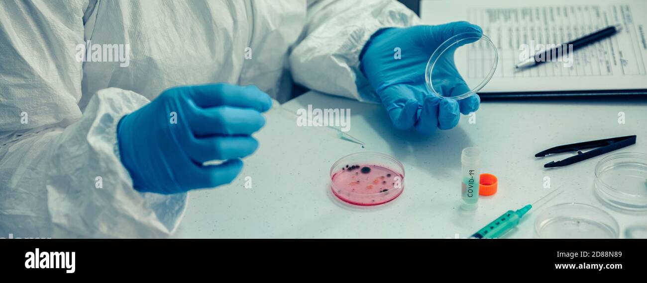 Scientist with a petri dish in the laboratory Stock Photo - Alamy