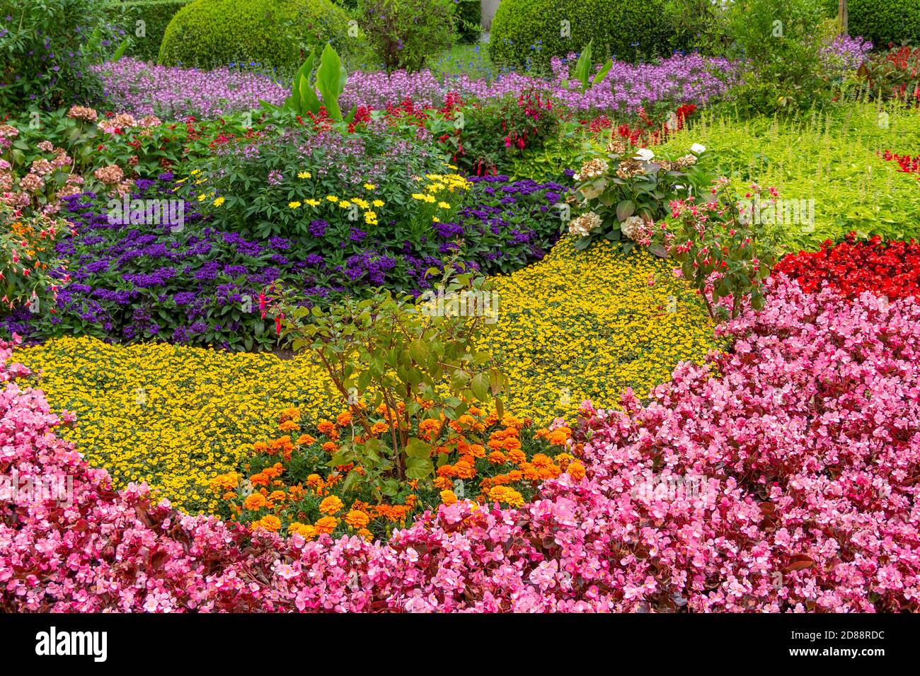 outdoor scenery showing lots of colorful flowers at summer time Stock Photo