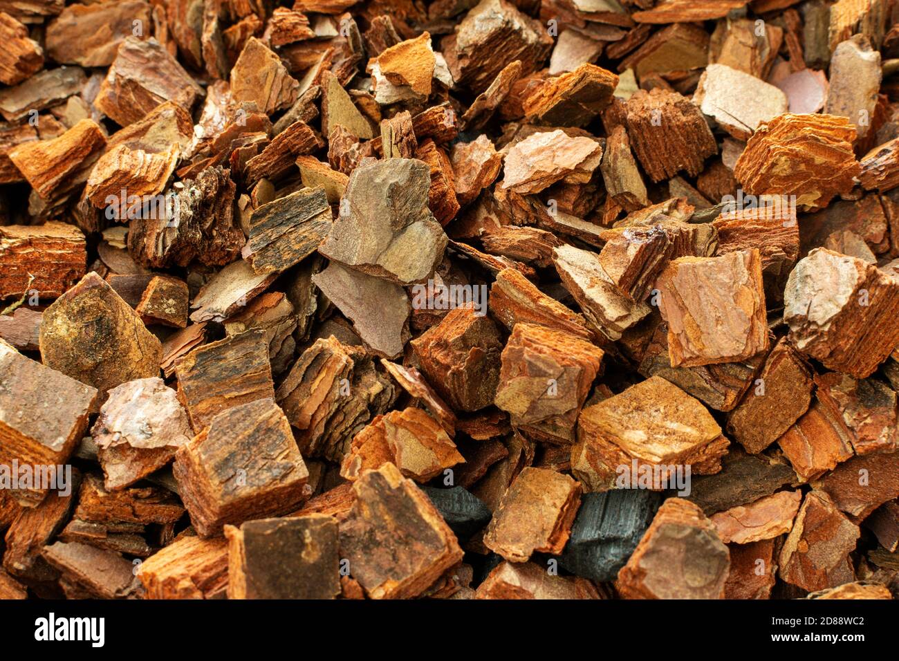 Best soil for orchids, pine bark, cut pine bark, prepared bark. Pine