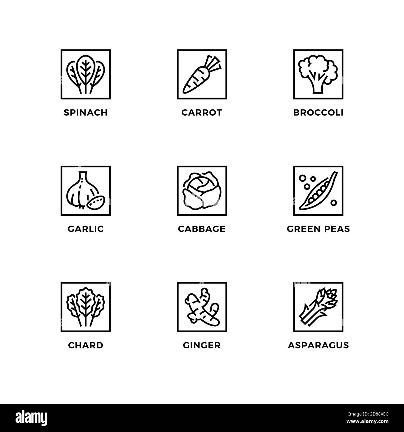 Vector set of design elements, logo design template, icons and badges ...