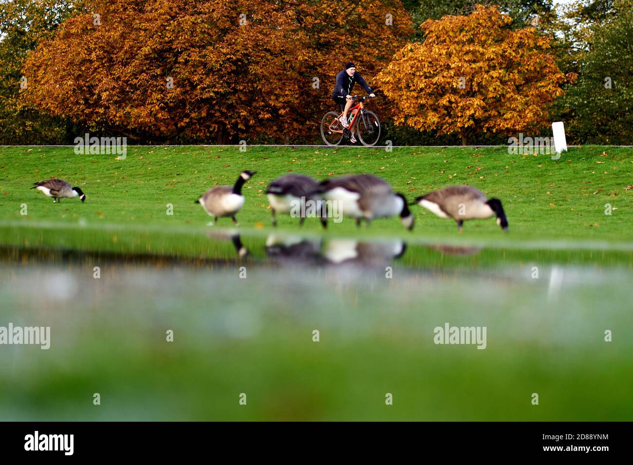 can you cycle in bushy park