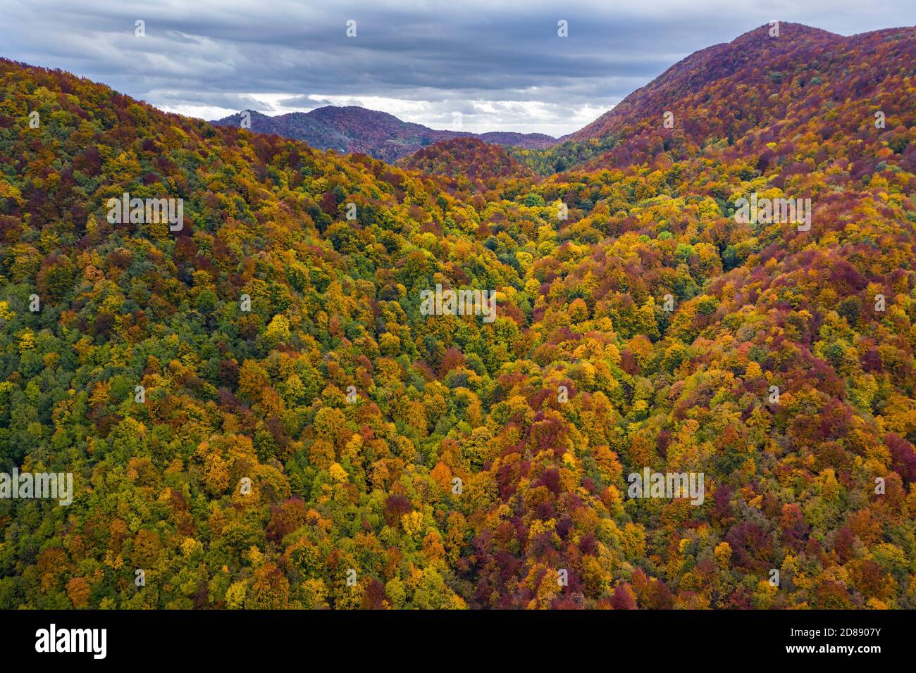 Colorful autumn forest from above Stock Photo