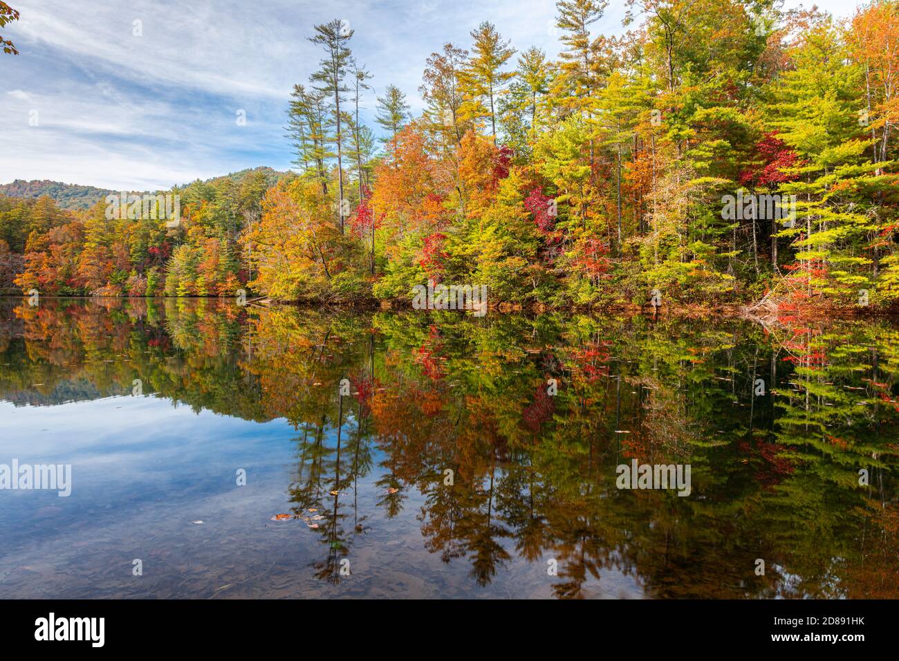Lakeside fall foliage at Santeetlah Lake, North Carolina, USA. Stock Photo