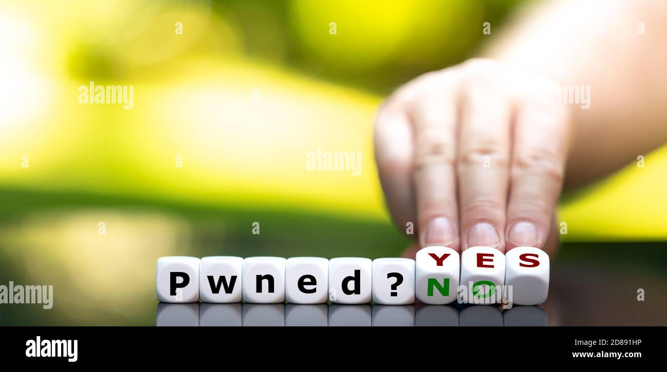 Have I Been Pwned (slang for password owned)? Dice form the expression 'pwned? no' or 'pwned? yes'. Stock Photo