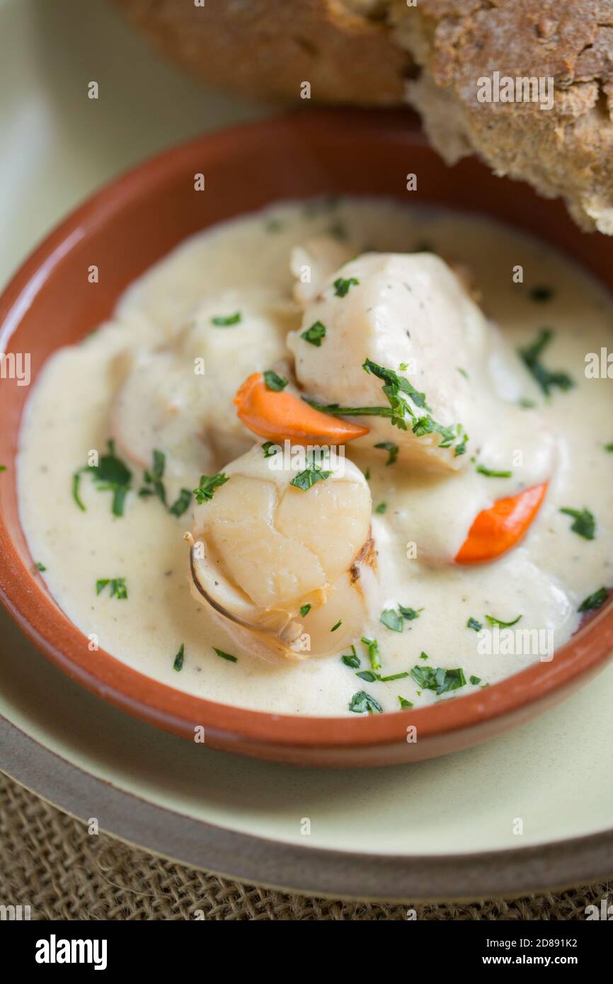 A homemade dish of Coquilles St Jacques made with king scallops, Pecten