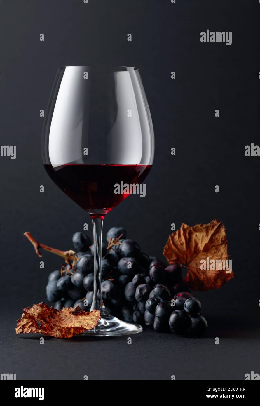 Glass of red wine and blue grapes with dried up vine leaves on a dark ...