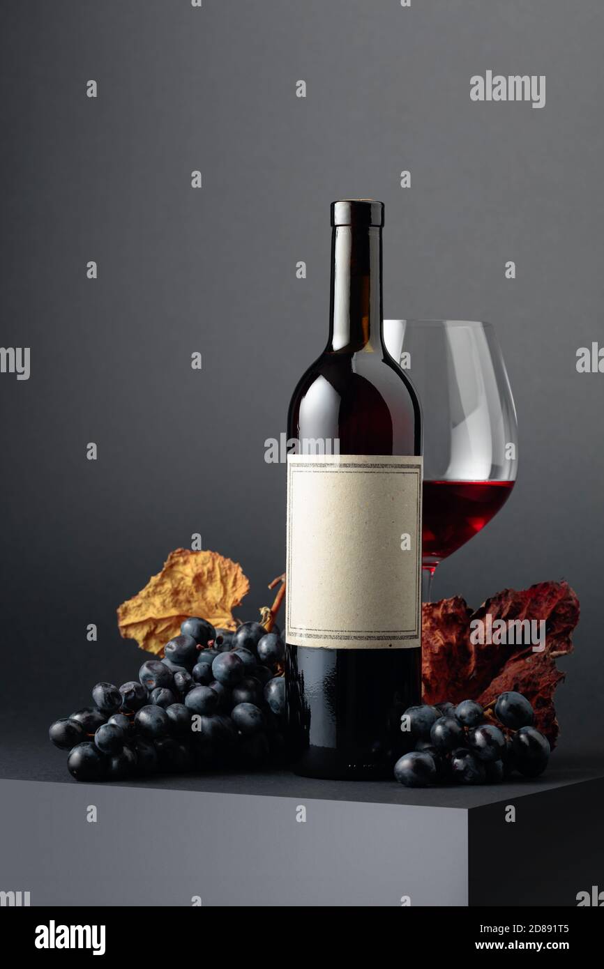 Red wine and blue grapes with dried up vine leaves on a dark background ...