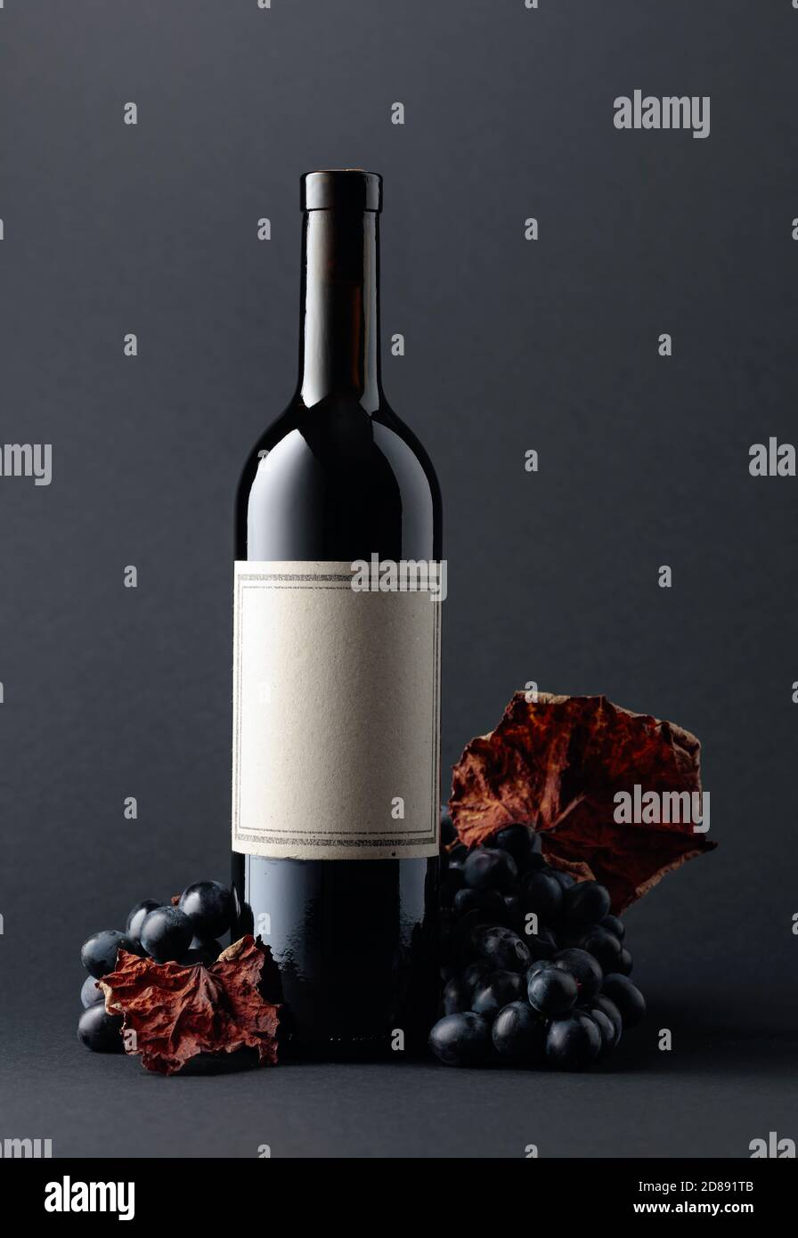 Bottle of red wine and blue grapes with dried up vine leaves on a dark ...