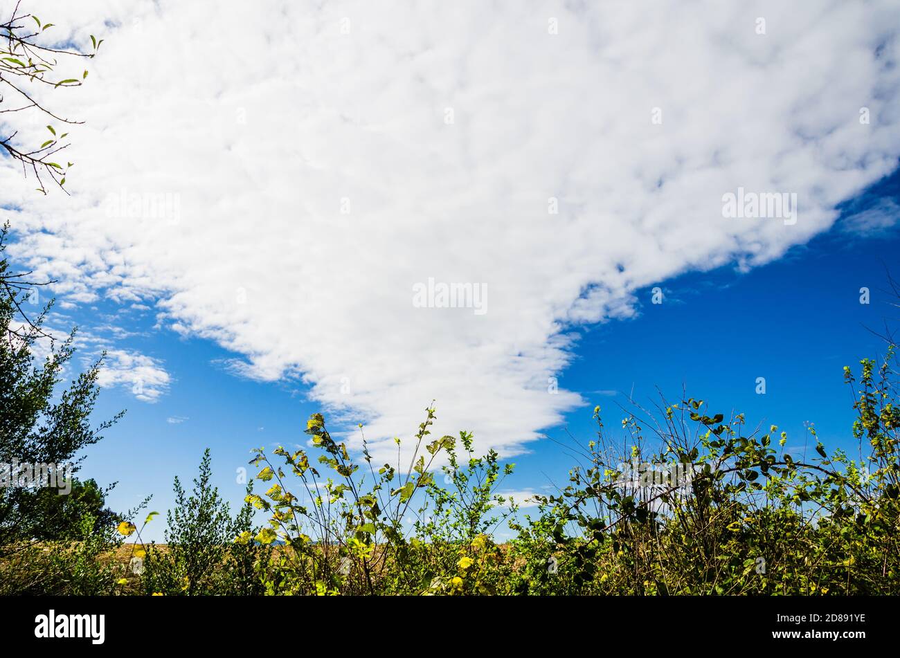 Natural landscape with blue sky and white clouds background Stock Photo ...