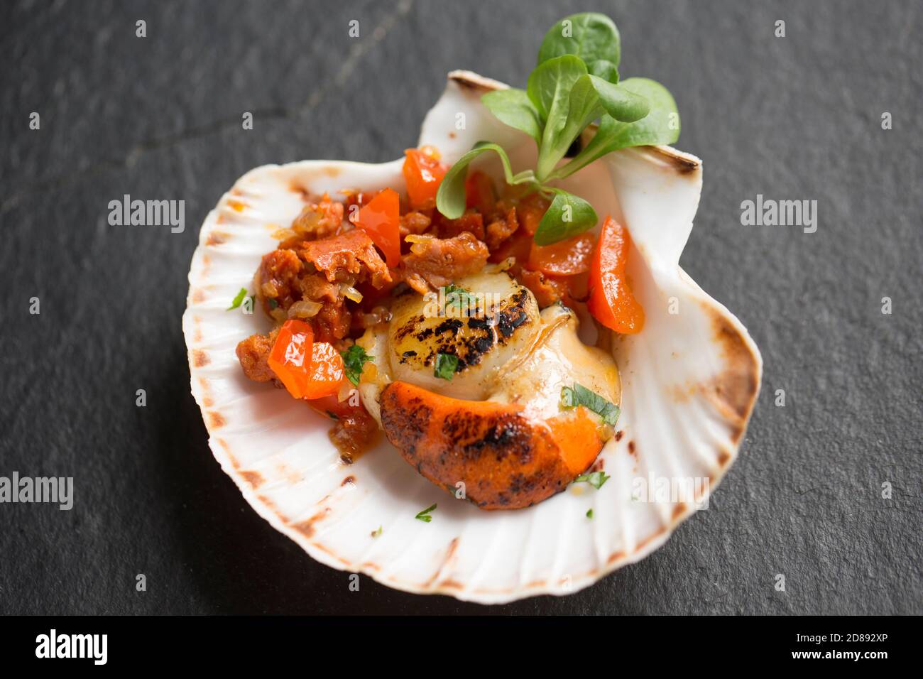 A king scallop, Pecten maximus, that hs been fried and served in the shell with chorizo sausage and peppers. Dorset England UK GB Stock Photo