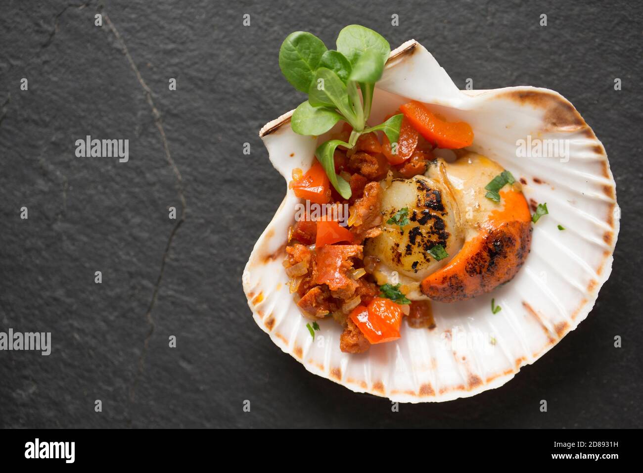 A king scallop, Pecten maximus, that hs been fried and served in the shell with chorizo sausage and peppers. Dorset England UK GB Stock Photo