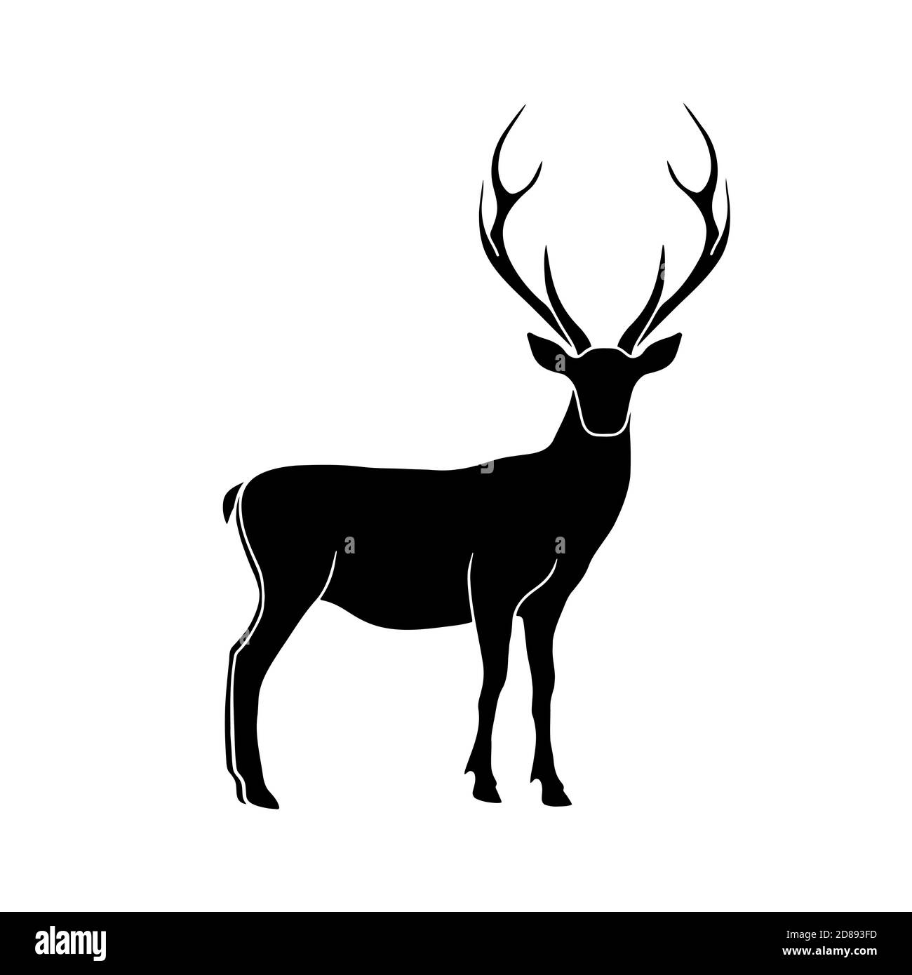 Deer vector isolated illustration. Stag wildlife drawing. . Vector illustration Stock Vector