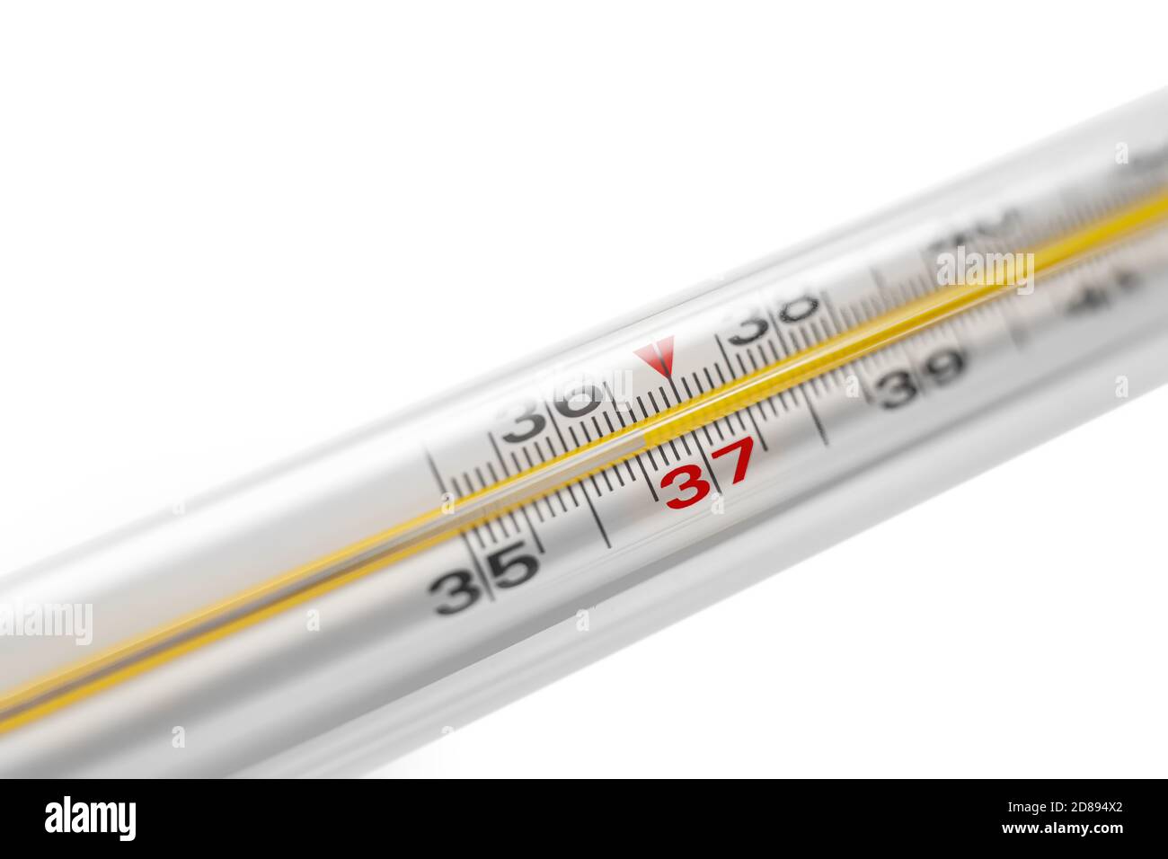A mercury thermometer shows a normal human temperature 36.6 Stock