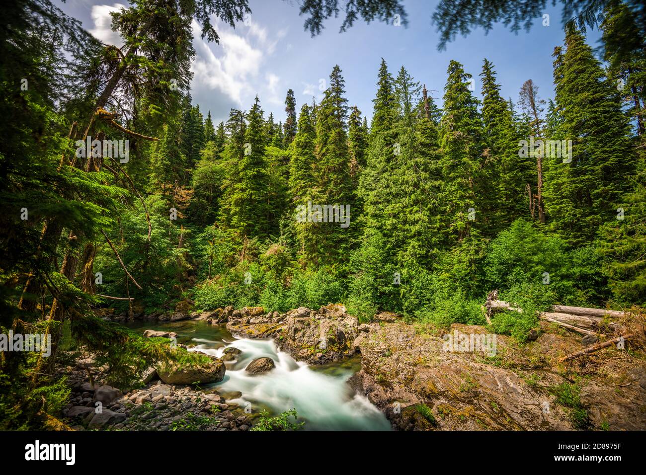 Sol Duc River in Olympic National Park, Washington, USA. Stock Photo