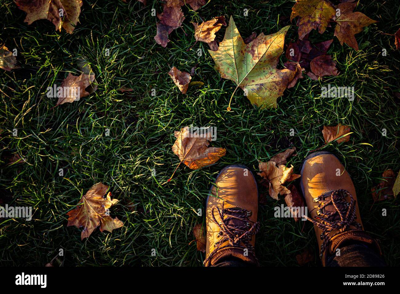 Boots and leaves, autumn sunset. Stock Photo