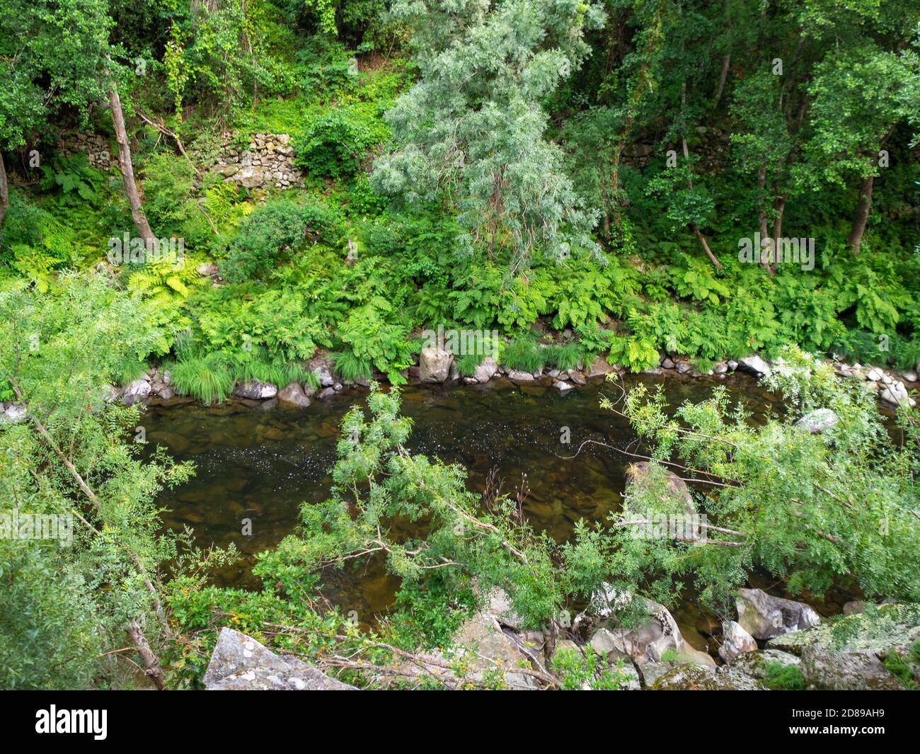 The green margins of river Paiva Stock Photo
