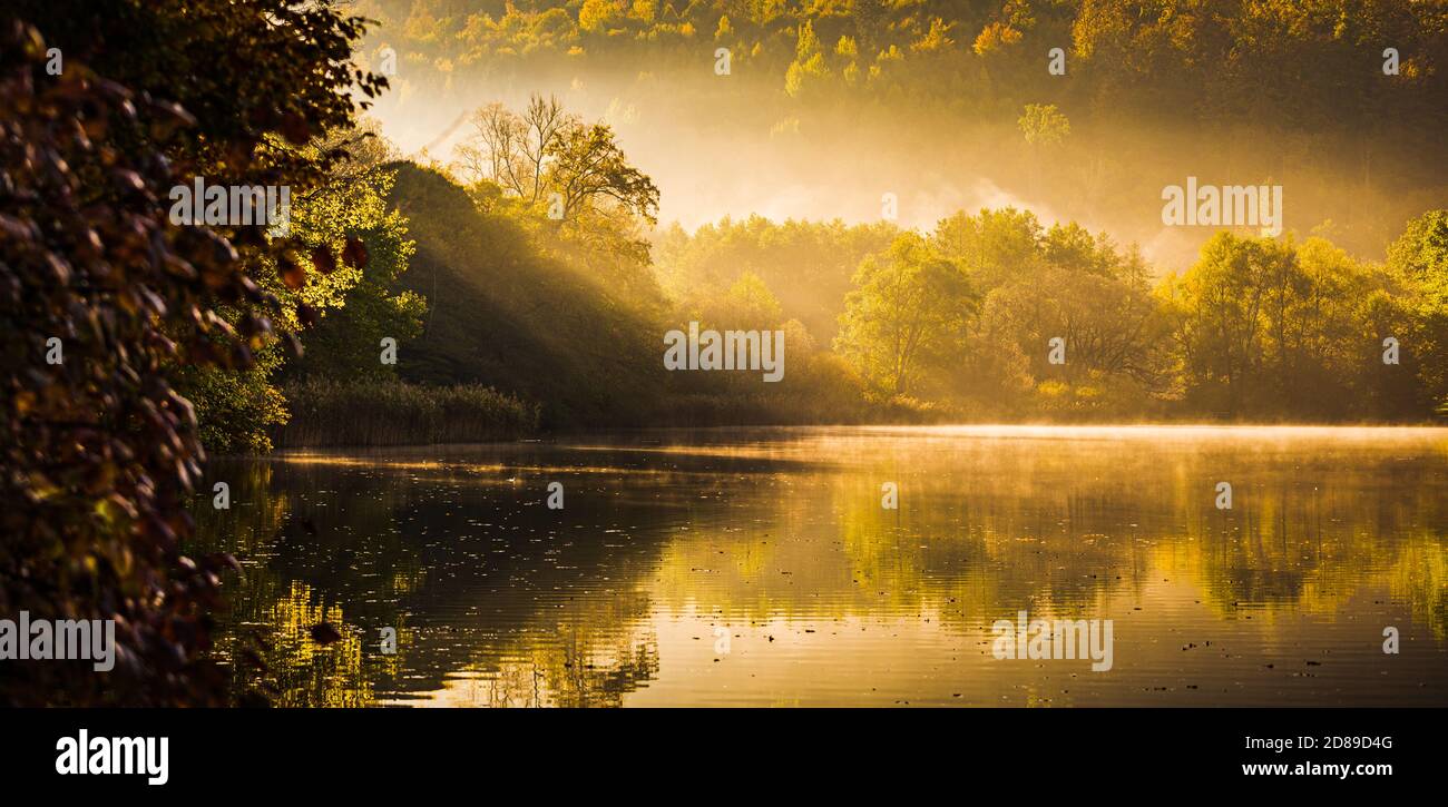 Lake fog landscape with Autumn foliage and tree reflections in Styria, Thal, Austria Stock Photo