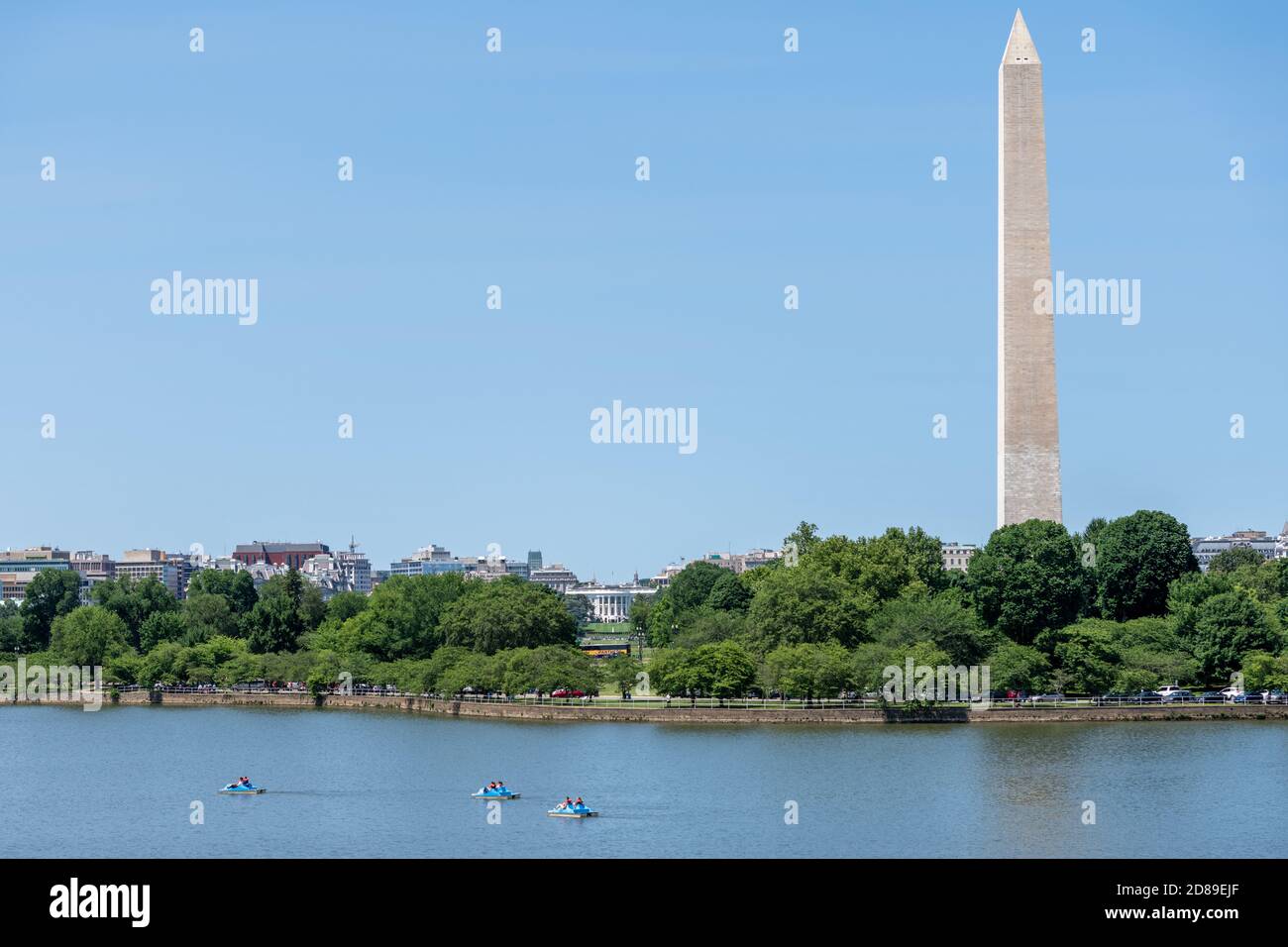 Paddle boats on Washington DC's Tidal Basin under the gaze of the White