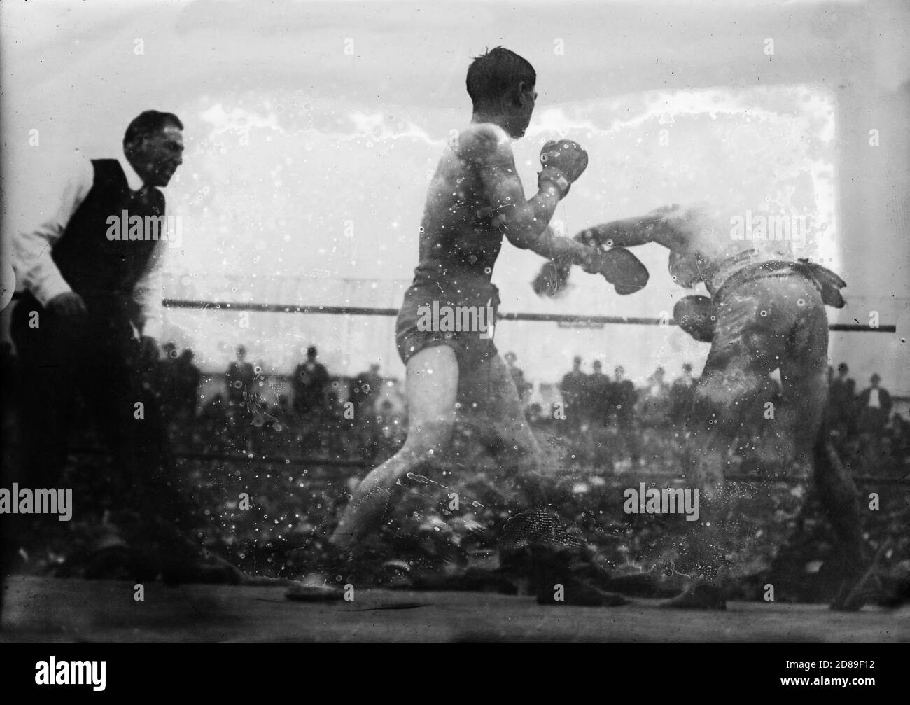 Boxing match, Wolgast Adolph, falling, 16th round Stock Photo