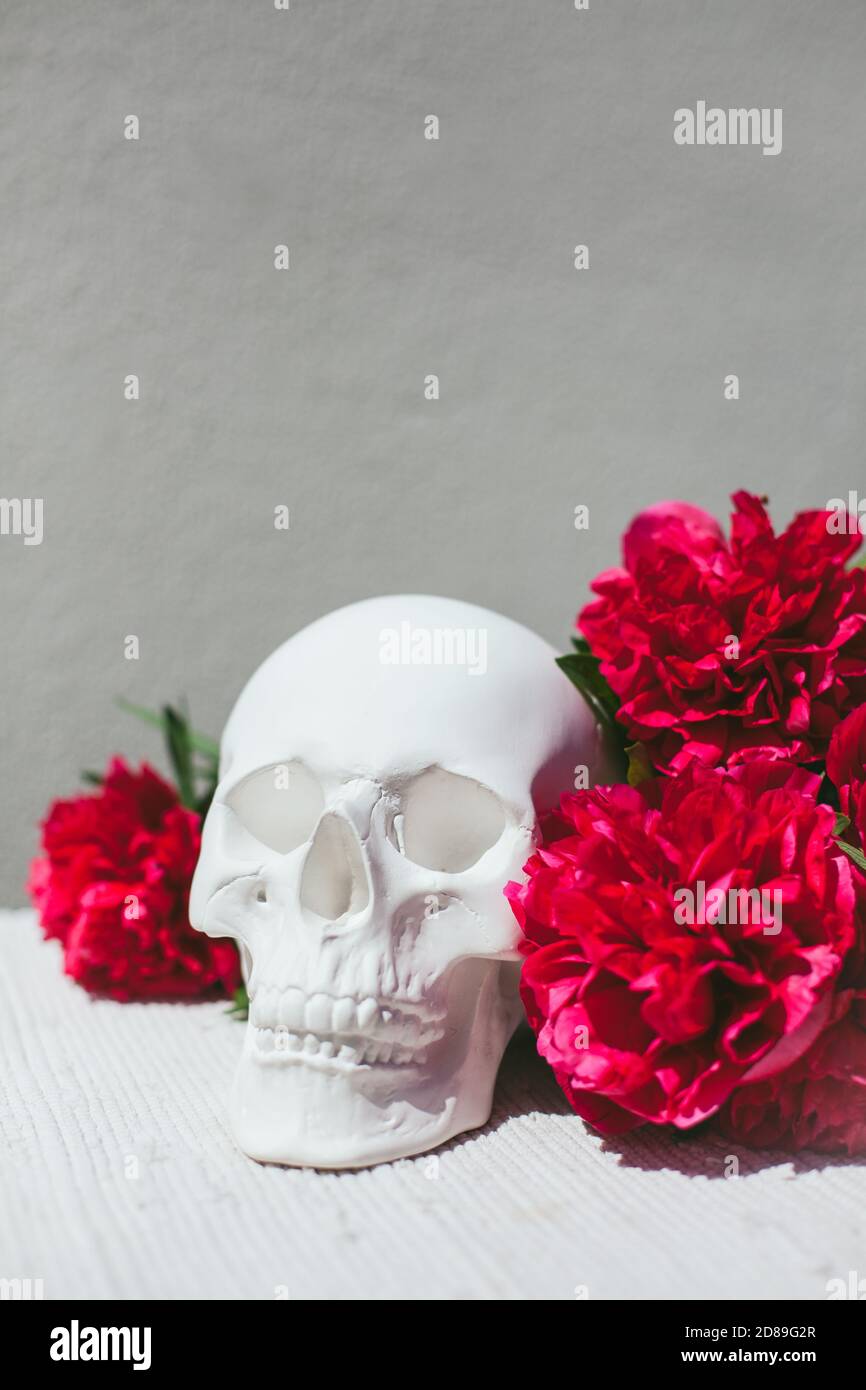 Red flowers next to a human skull decoration Stock Photo