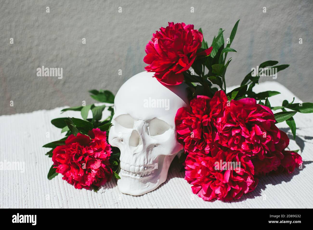 Red flowers next to a human skull decoration Stock Photo