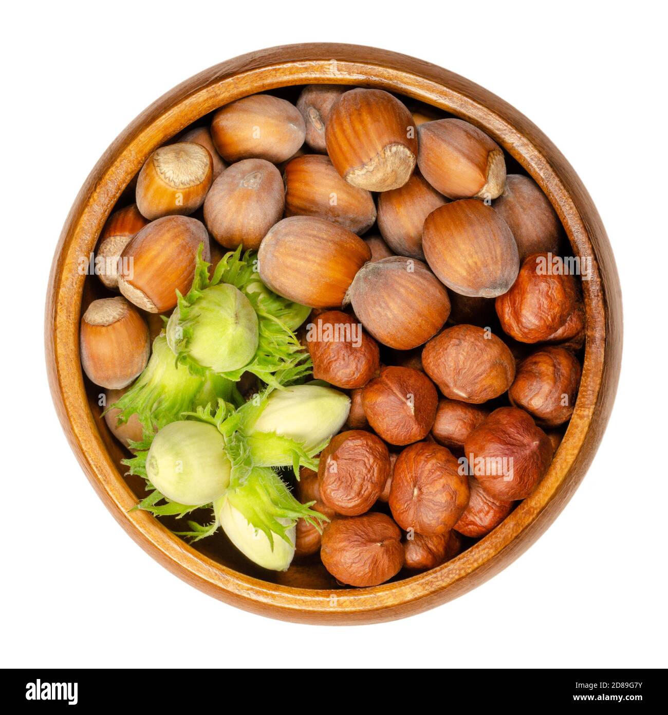 Ripe and unripe hazelnuts in a wooden bowl. Green, unripe hazelnuts in husk with shelled and unshelled hazelnuts. Seeds of Corylus avellana. Stock Photo