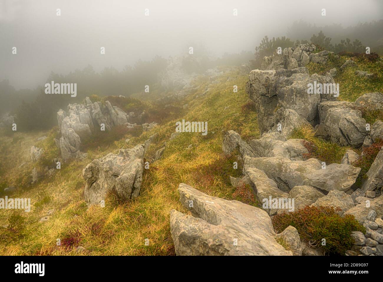 Foggy mountain landscape, Ebenalp, Appenzeller, Switzerland Stock Photo ...