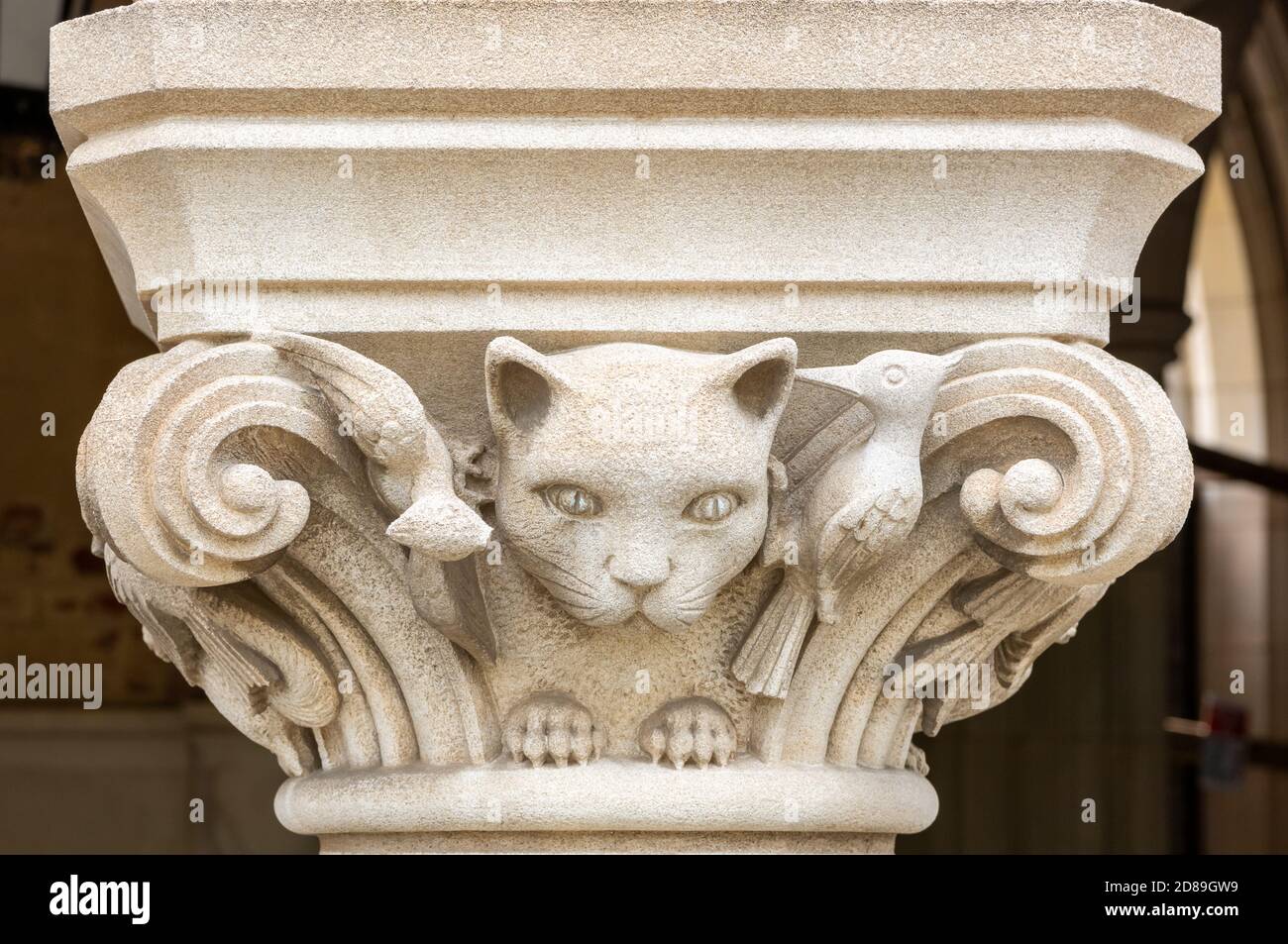 Cat and birds sculpture; one of the many sculptured cat grotesques in Washington National Cathedral, Washington DC Stock Photo