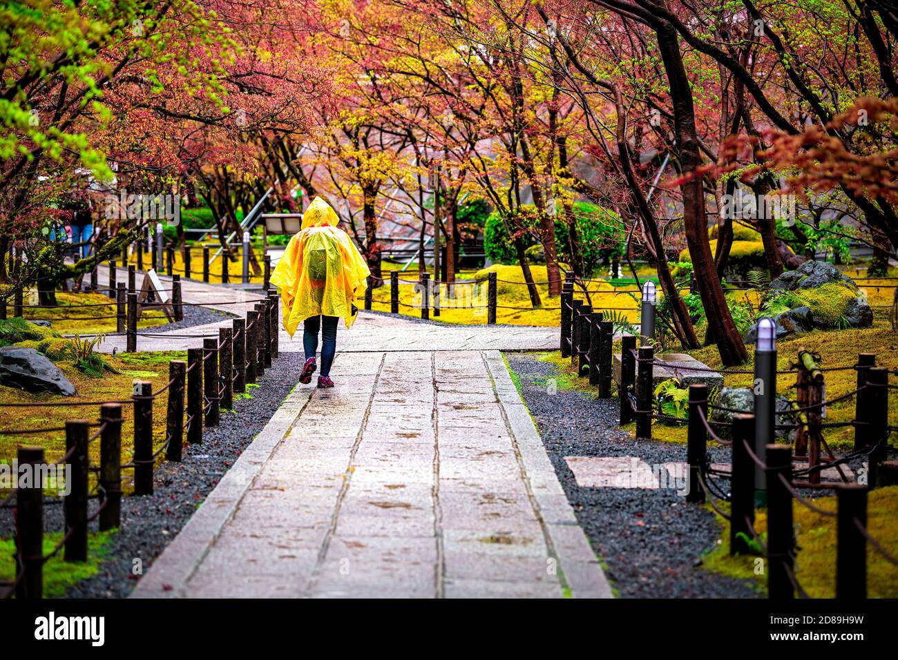 Kyoto, Japan Eikando temple shrine and woman in poncho rainy weather walking by moss garden in spring on road path fence Stock Photo