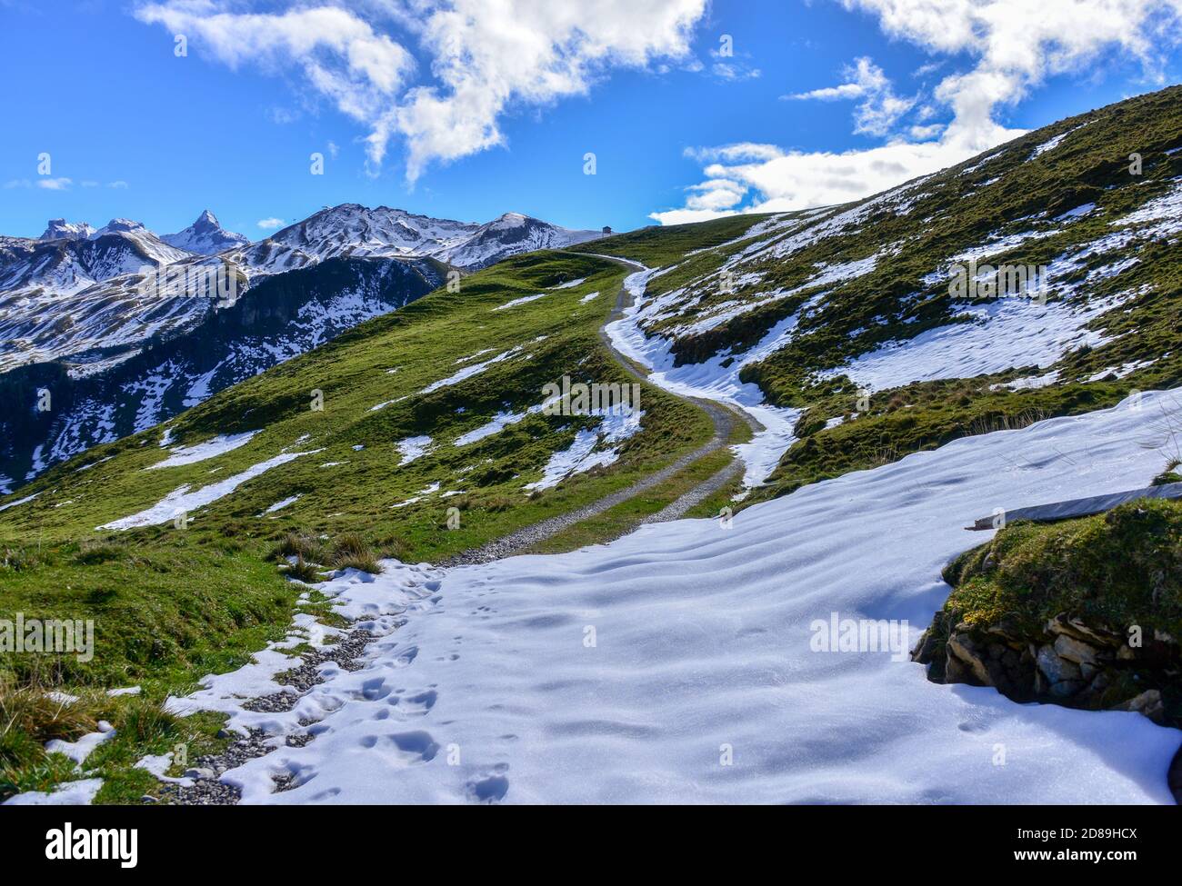 Hiking trail in Swiss Alps, Switzerland Stock Photo - Alamy