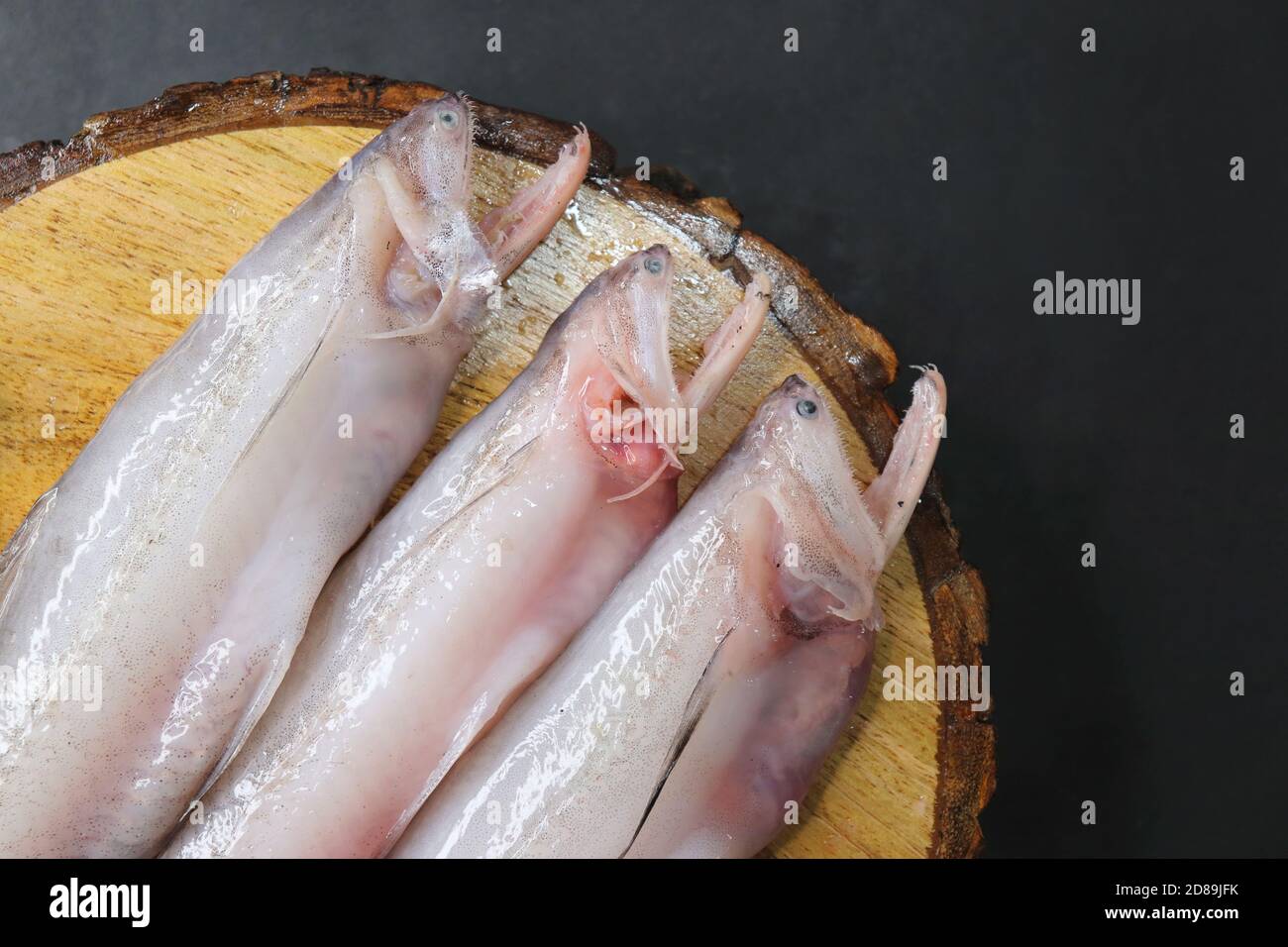 Fresh sea fish Bombay duck or Bombil and ingredients for cooking, green ...