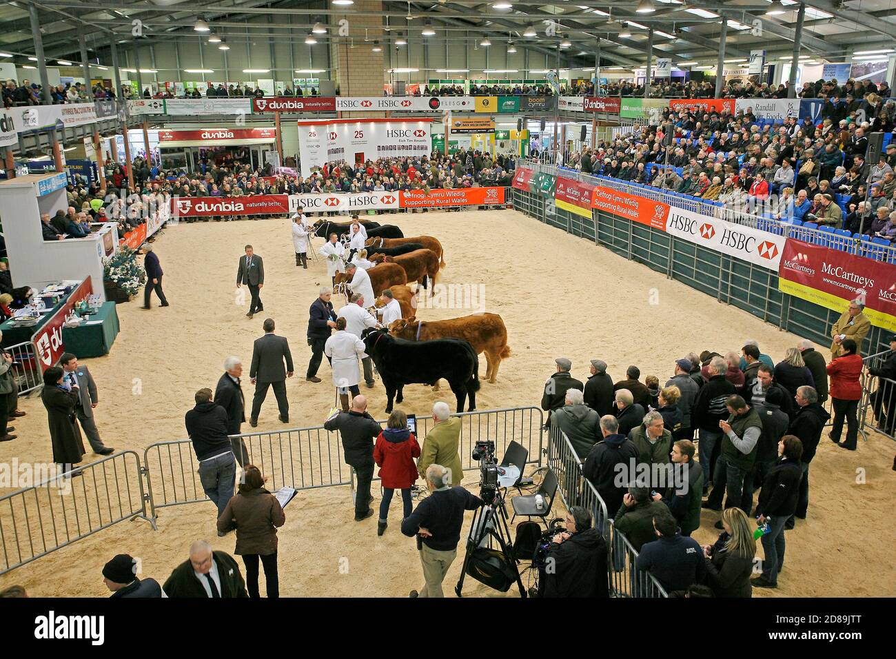 The main ring with cattle exhibitors being judged, on the first day of the Winter Fair 2014. ©PRWPhotography Stock Photo