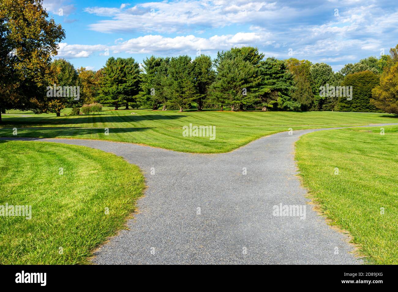 Split walking path in a park with grass and trees Stock Photo